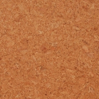 Tapet de pluta Gobi